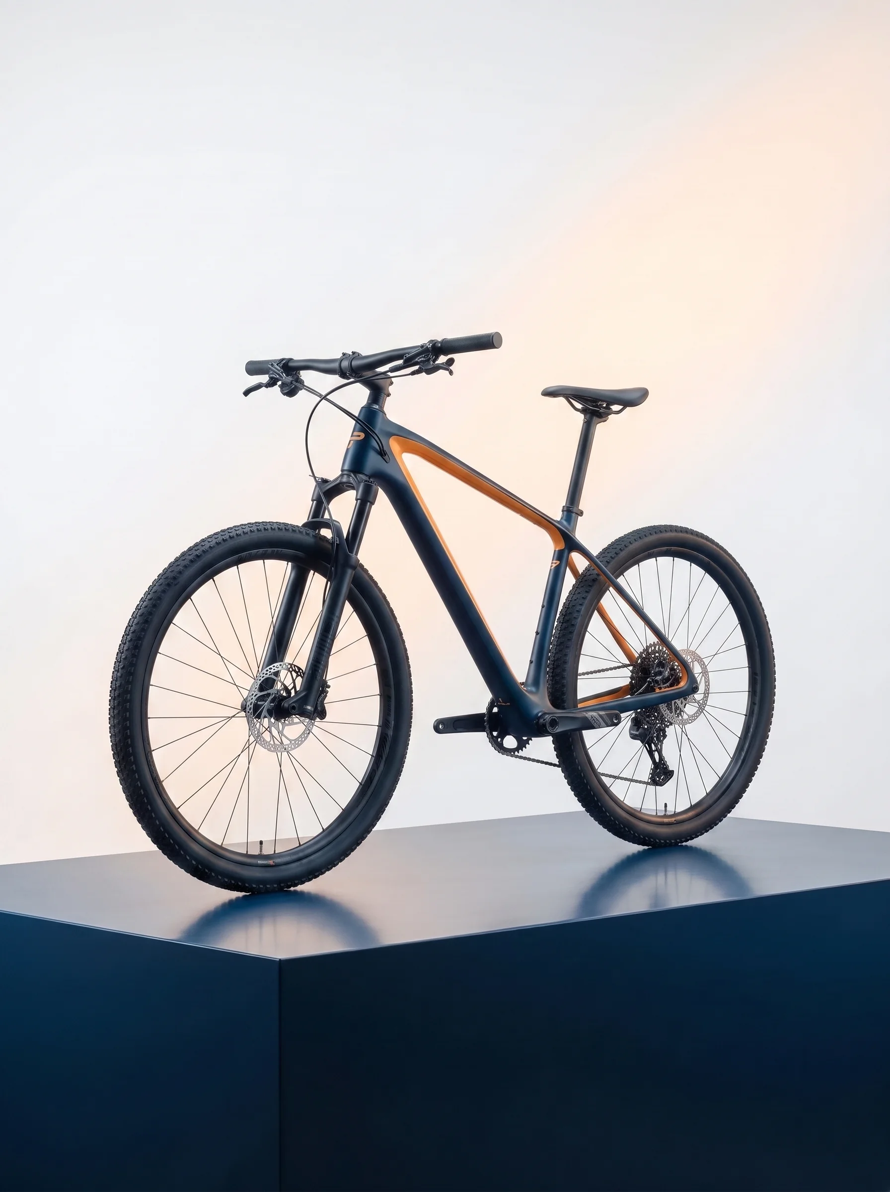 VTT & Mountain bike